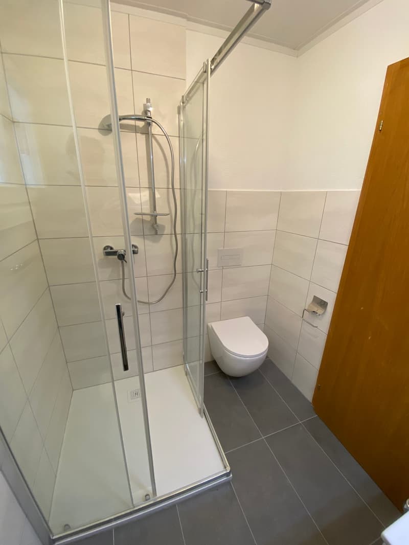 Magnifique 2.5 pièces en duplex au 3ème étage au coeur de la vieille ville (12)