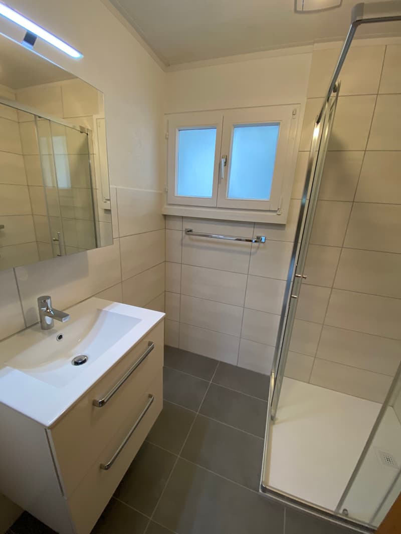 Magnifique 2.5 pièces en duplex au 3ème étage au coeur de la vieille ville (11)