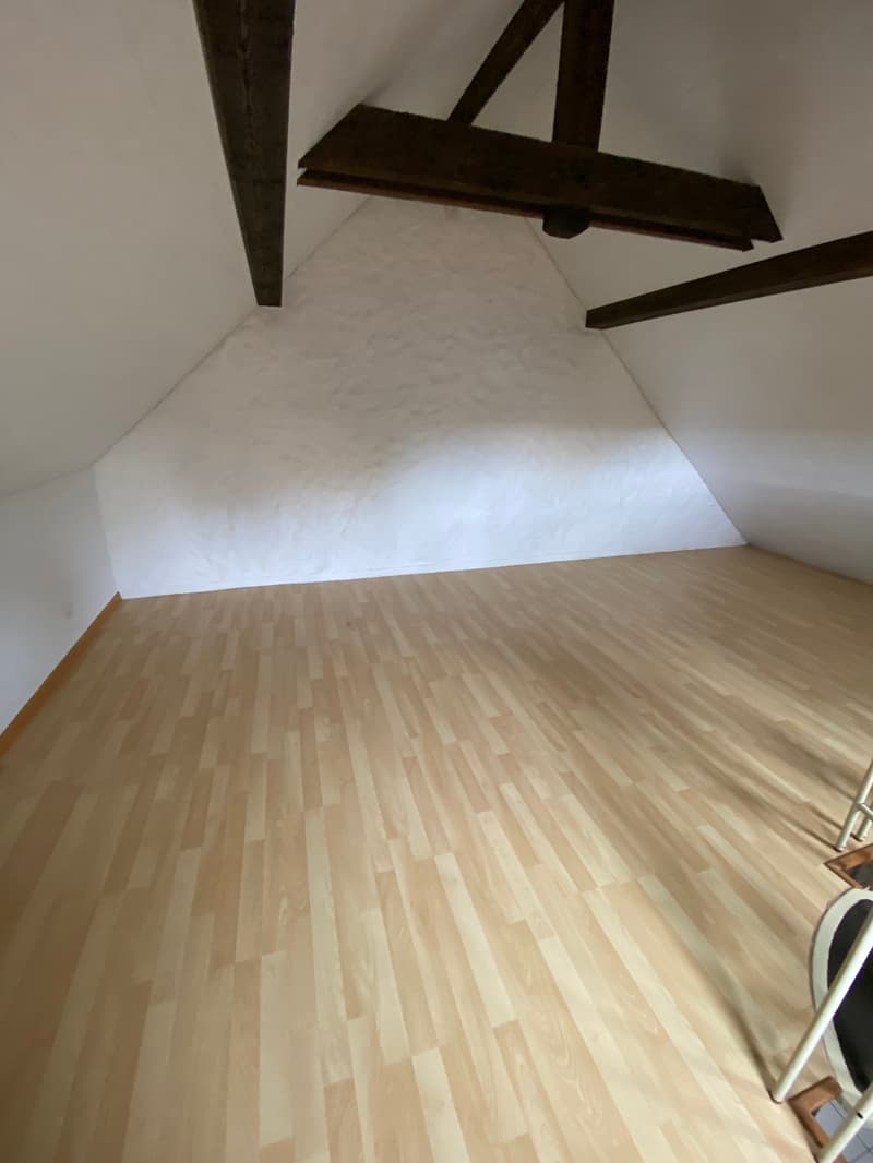 Magnifique 2.5 pièces en duplex au 3ème étage au coeur de la vieille ville (9)