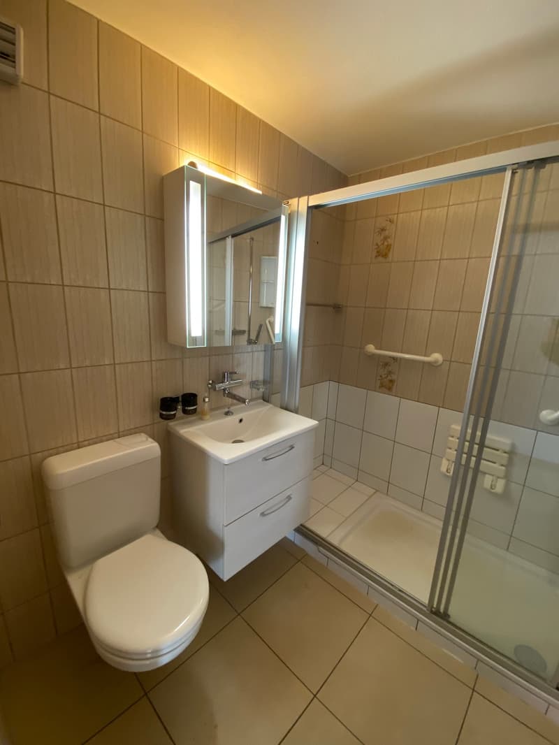 Bathroom with white toilet, sink, mirror, shower enclosure, and tiled walls.
