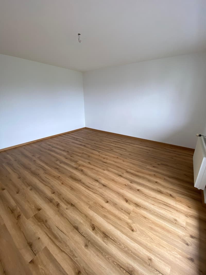 Bel et spacieux appartement de 3 pièces au 4e étage (12)