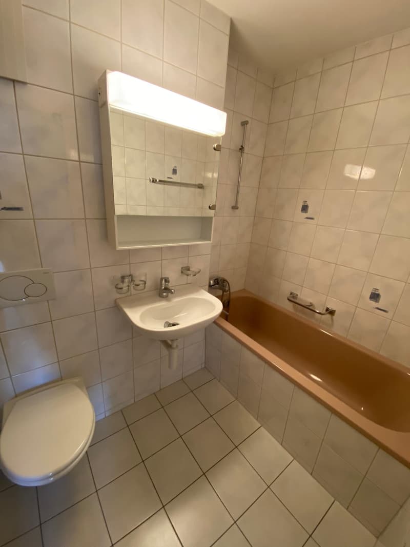 Bel et spacieux appartement de 3 pièces au 4e étage (13)