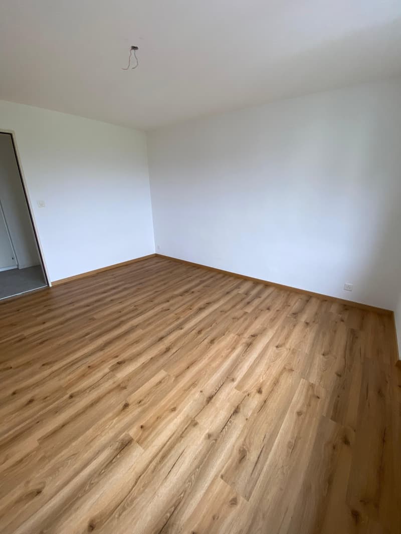 Bel et spacieux appartement de 3 pièces au 4e étage (11)