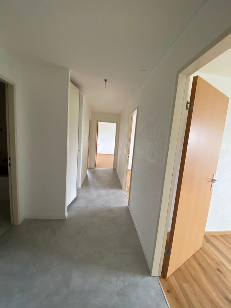 Bel et spacieux appartement de 3 pièces au 4e étage (5)