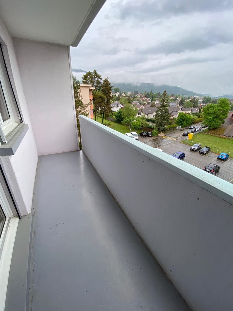 Bel et spacieux appartement de 3 pièces au 4e étage (7)
