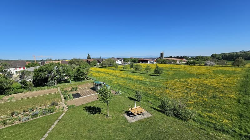 Bel et spacieux appartement de 3,5 pièces au 2e étage (11)