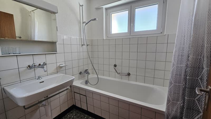 Bel et spacieux appartement de 3,5 pièces au 2e étage (7)