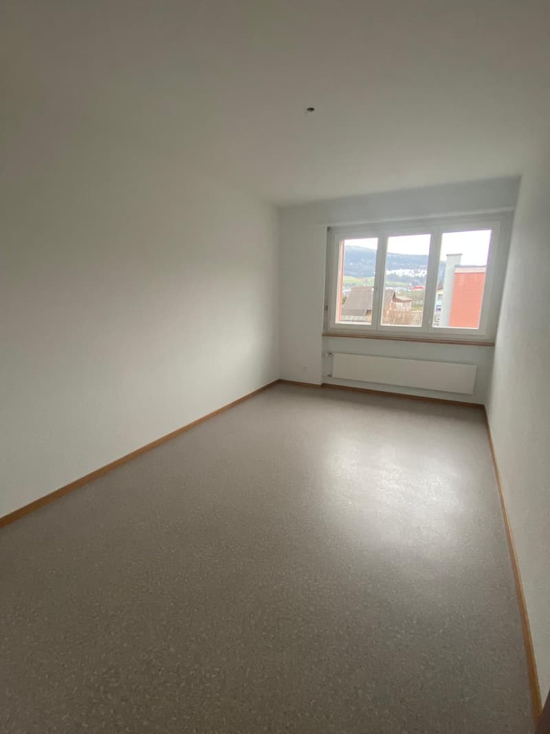 Bel appartement de 4 pièces au 2e étage (7)