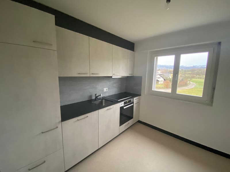 Bel appartement de 4 pièces au 2e étage (2)