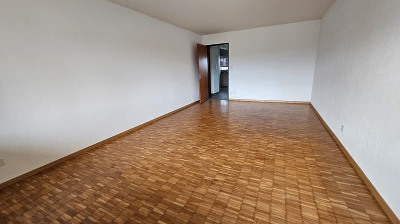 Bel et spacieux appartement de 4,5 pièces au 1er étage (5)