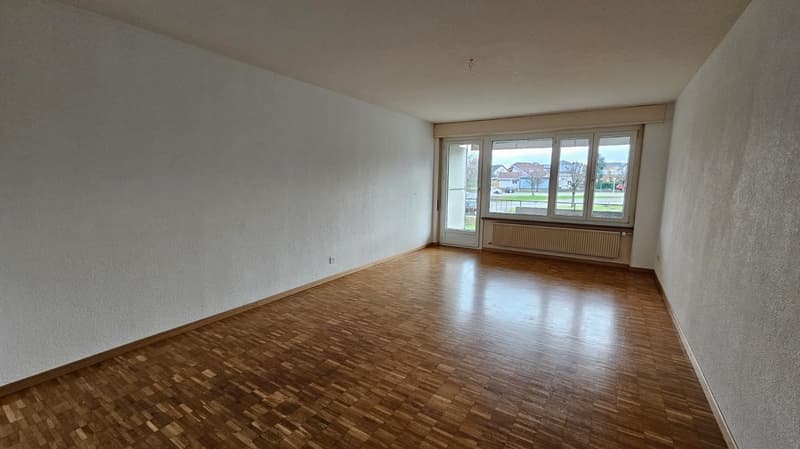 Bel et spacieux appartement de 4,5 pièces au 1er étage (4)