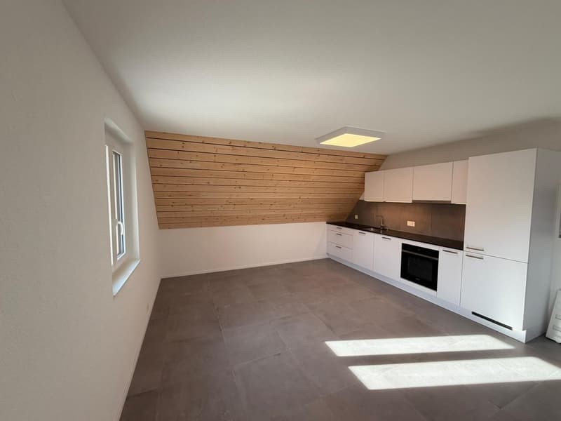 Magnifique appartement en duplex de 3.5 pièces au 2e étage (4)