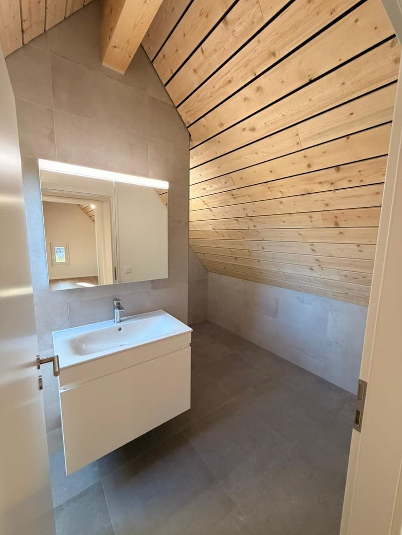 Magnifique appartement en duplex de 3.5 pièces au 2e étage (13)