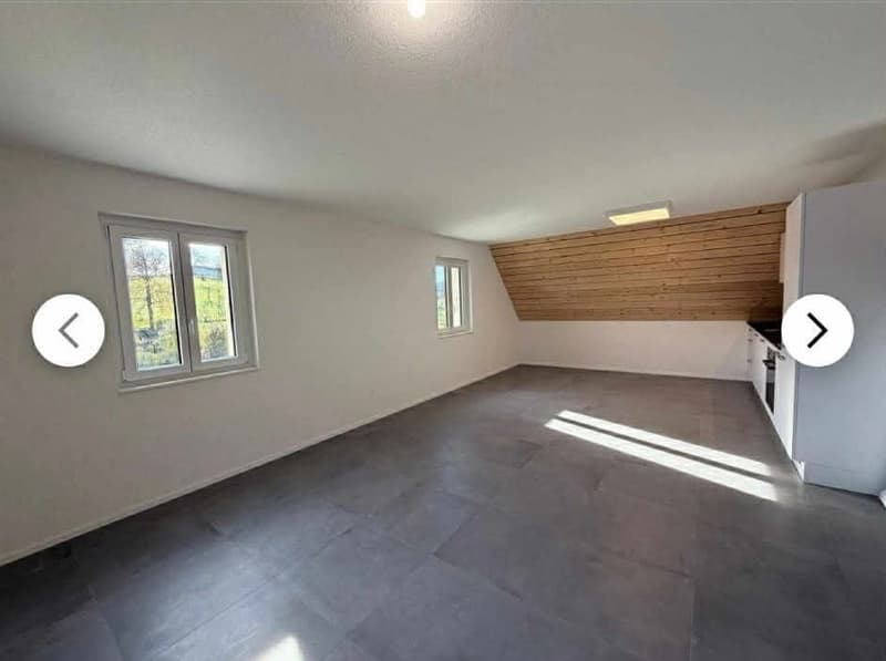 Magnifique appartement en duplex de 3.5 pièces au 2e étage (4)