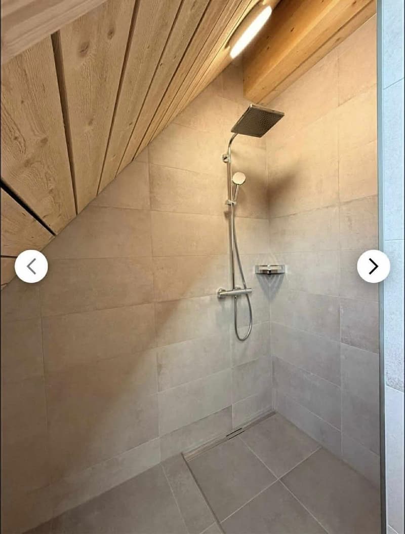 Magnifique appartement en duplex de 3.5 pièces au 2e étage (8)