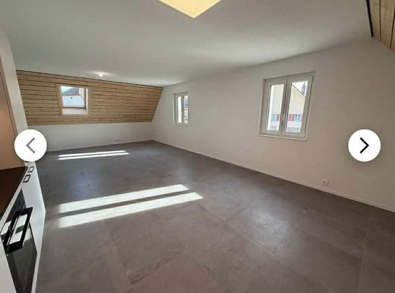 Magnifique appartement en duplex de 3.5 pièces au 2e étage (5)