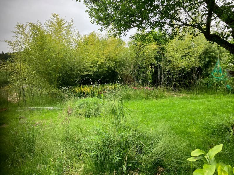 Ancienne ferme de 8 pièces à rénover située en campagne (18)