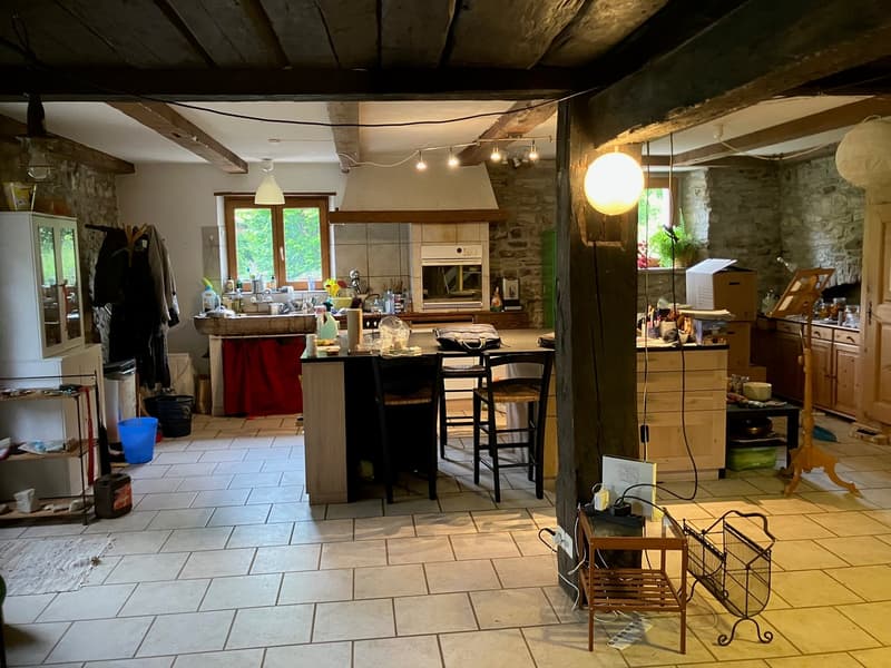 Ancienne ferme de 8 pièces à rénover située en campagne (8)