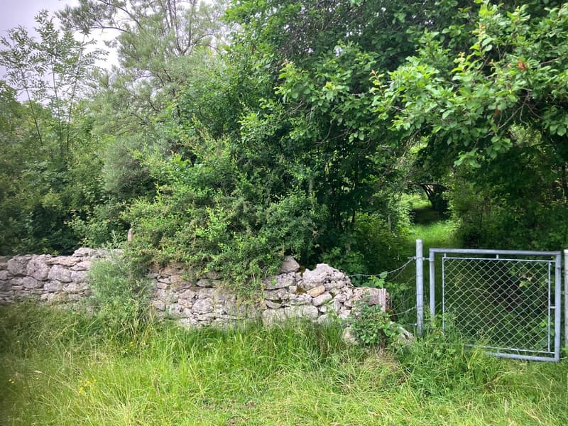 Ancienne ferme de 8 pièces à rénover située en campagne (17)