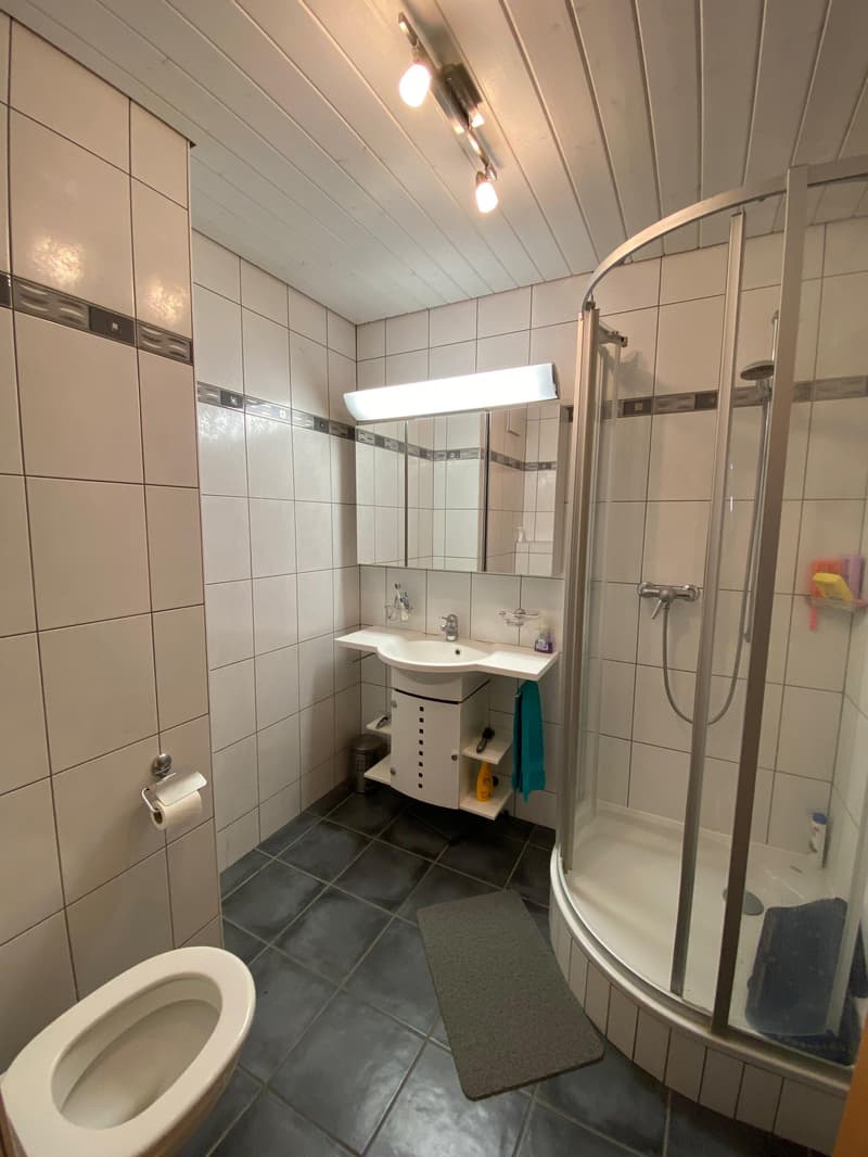 Bel appartement de 7,5 pièces au 2e étage (8)