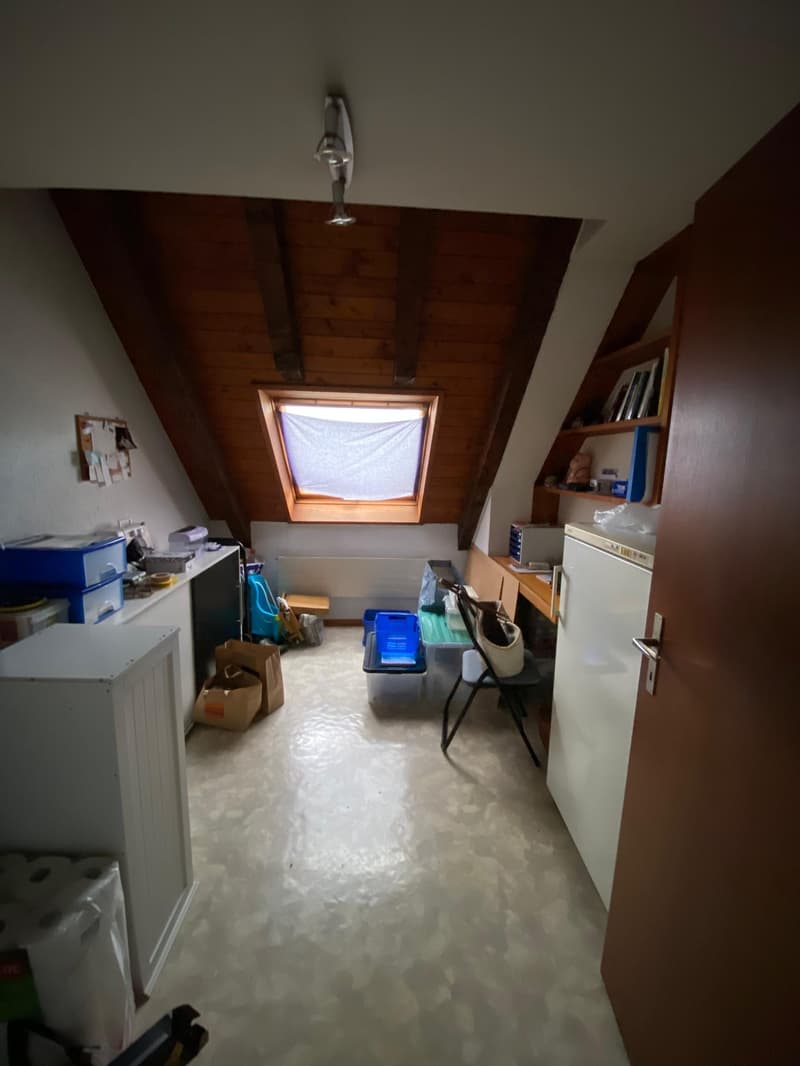 Bel appartement de 7,5 pièces au 2e étage (11)