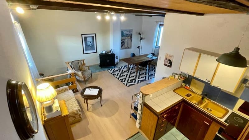 Superbe appartement de 3.5 pièces en duplex (3)