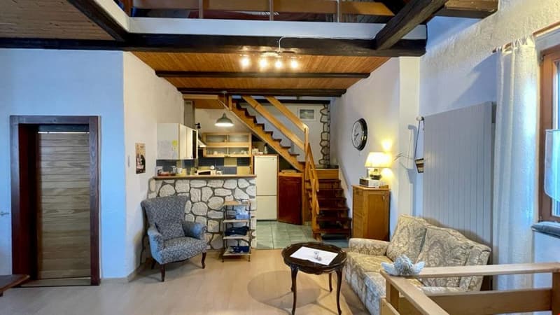 Superbe appartement de 3.5 pièces en duplex (1)