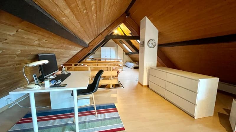 Superbe appartement de 3.5 pièces en duplex (5)
