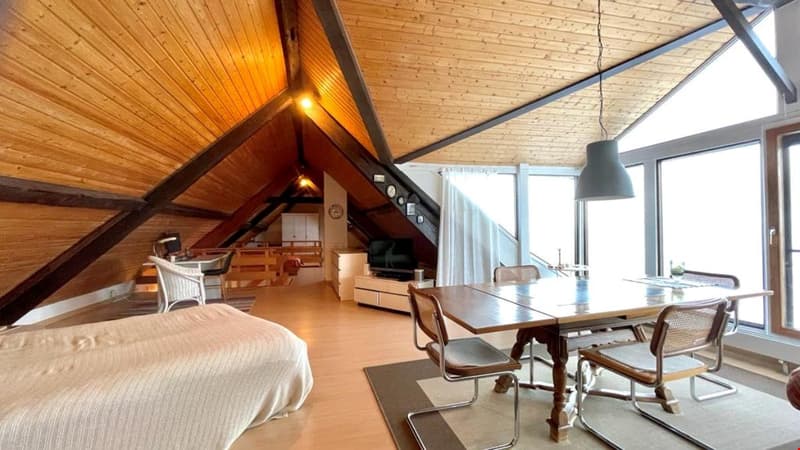 Superbe appartement de 3.5 pièces en duplex (7)
