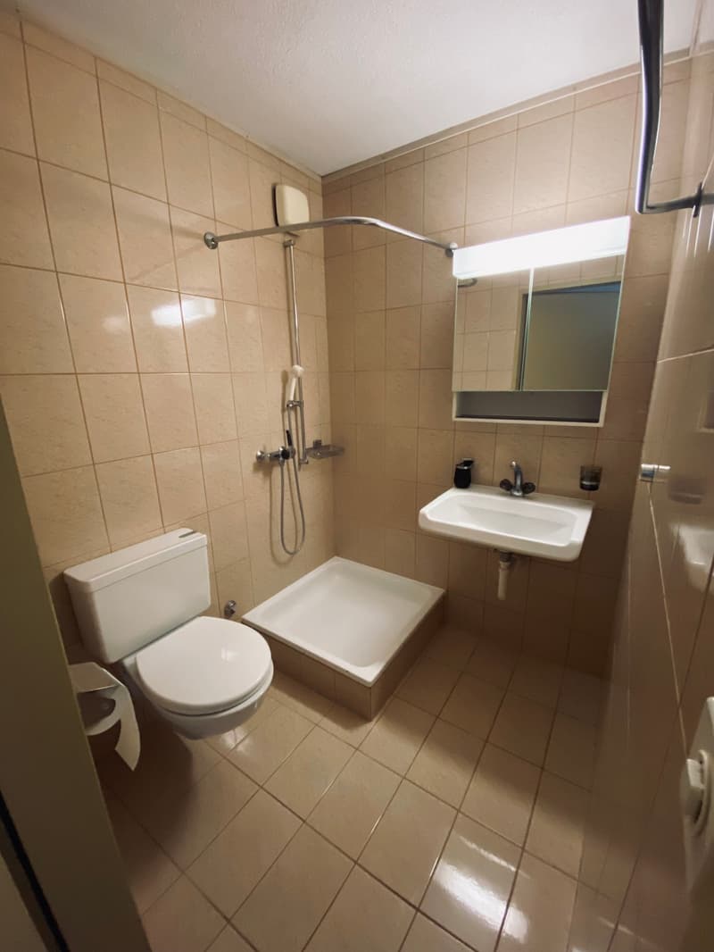 Bel appartement de 4,5 pièces au 4e étage (10)