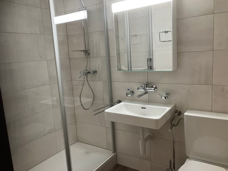 Bel appartement de 3 pièces au 1er étage (4)