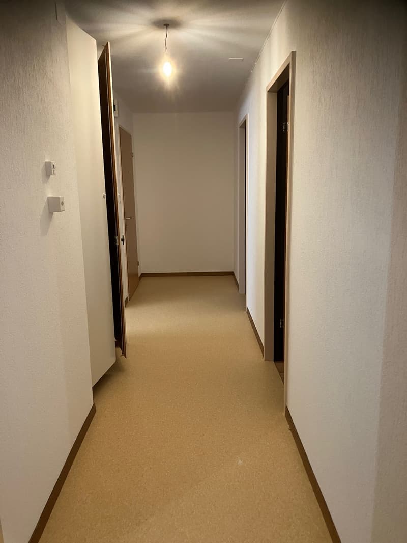 Bel appartement de 3 pièces au 1er étage (7)