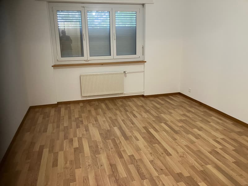 Bel appartement de 3 pièces au 1er étage (6)