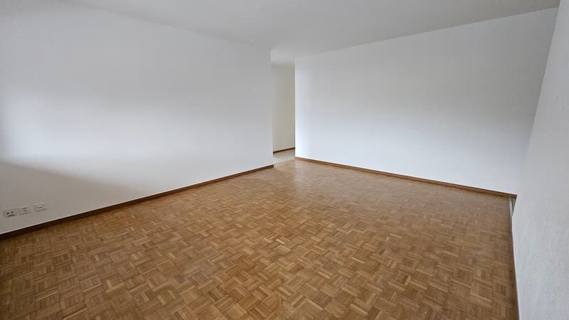 Bel appartement de 4 pièces au 2e étage (6)