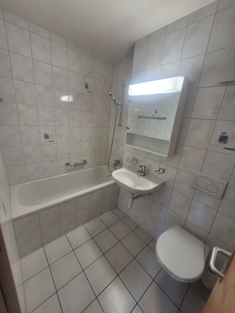 Bel et spacieux appartement de 3 pièces au 3e étage (7)