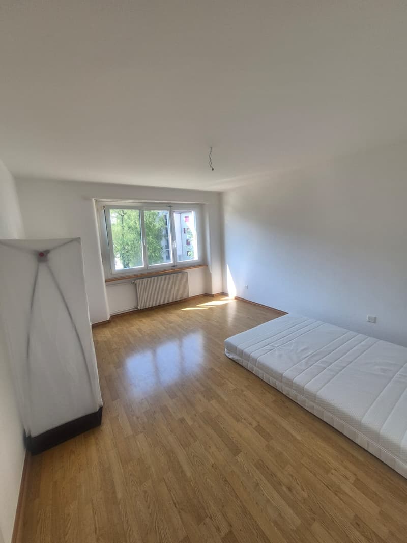 Bel appartement de 3,5 pièces au 2e étage (6)