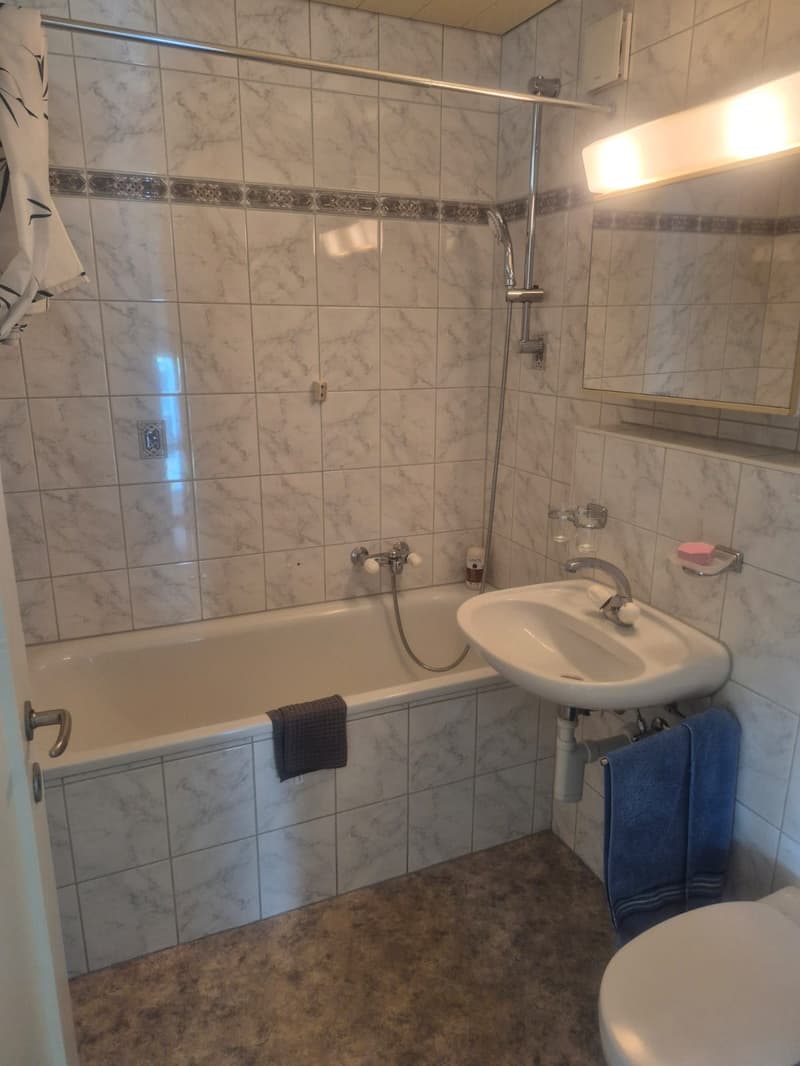 Bel appartement de 3,5 pièces au 2e étage (7)