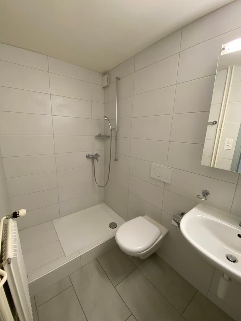 Bel appartement de 1,5 pièces au 3e étage (4)