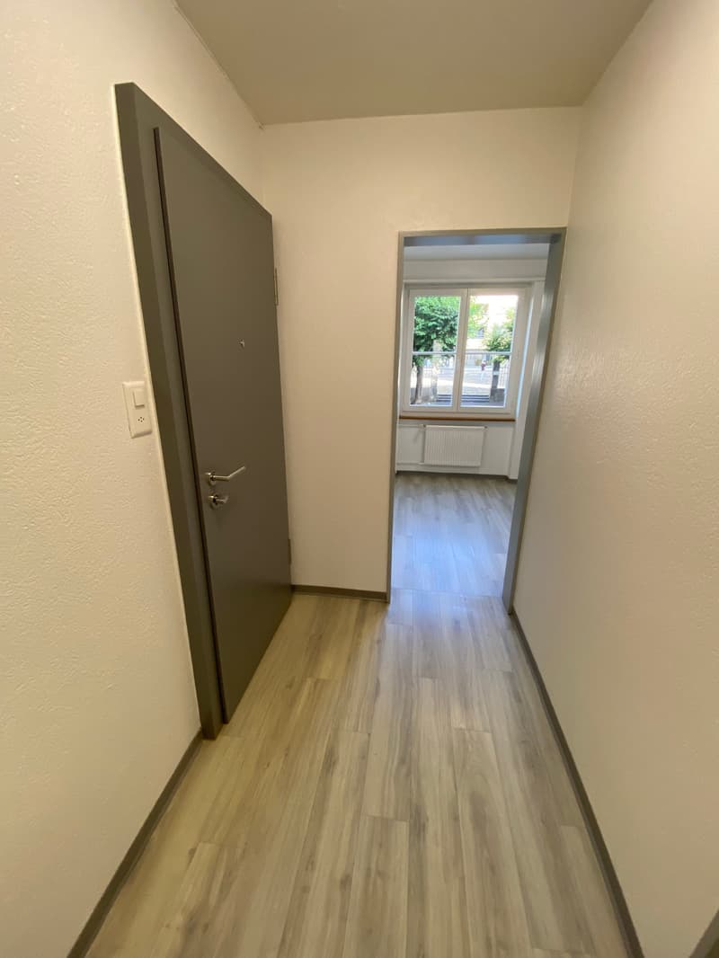Bel appartement de 1,5 pièces au 3e étage (1)