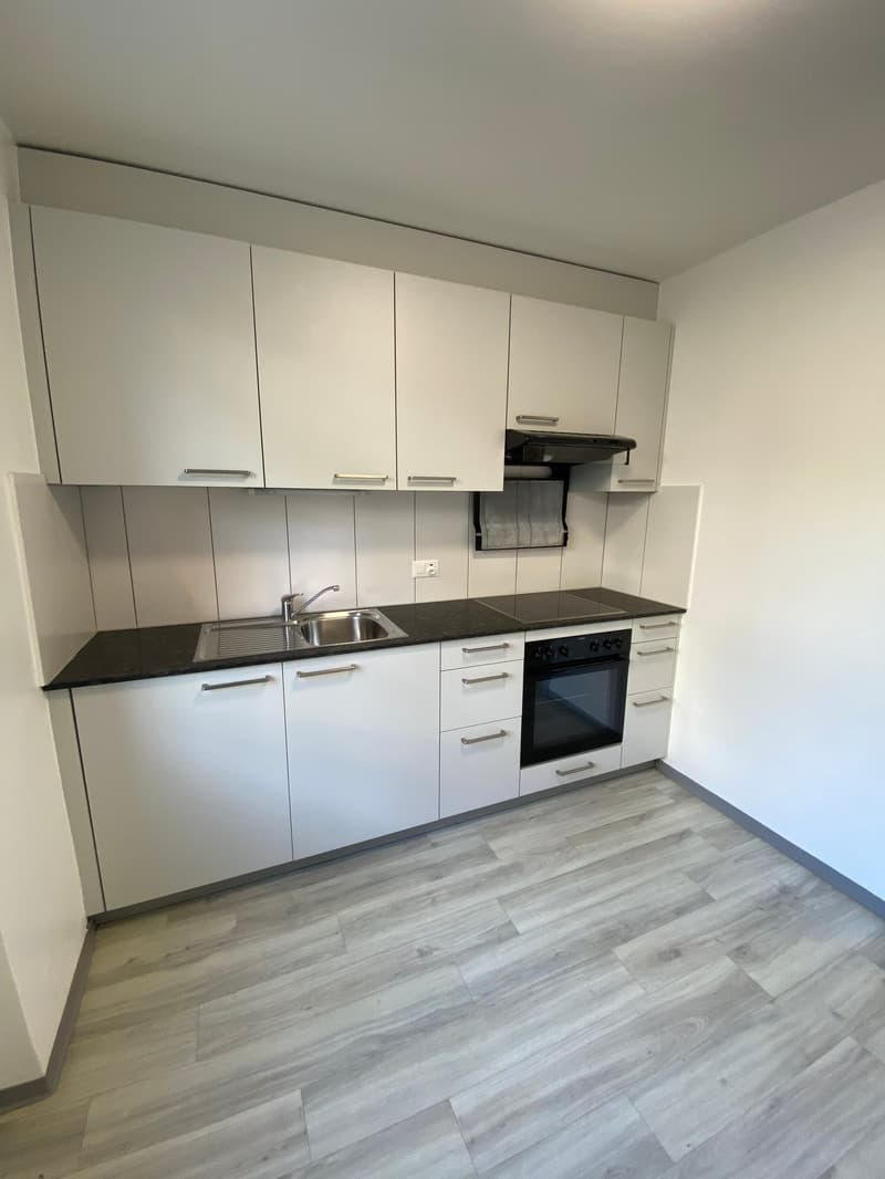Bel appartement de 1,5 pièces au 3e étage (2)