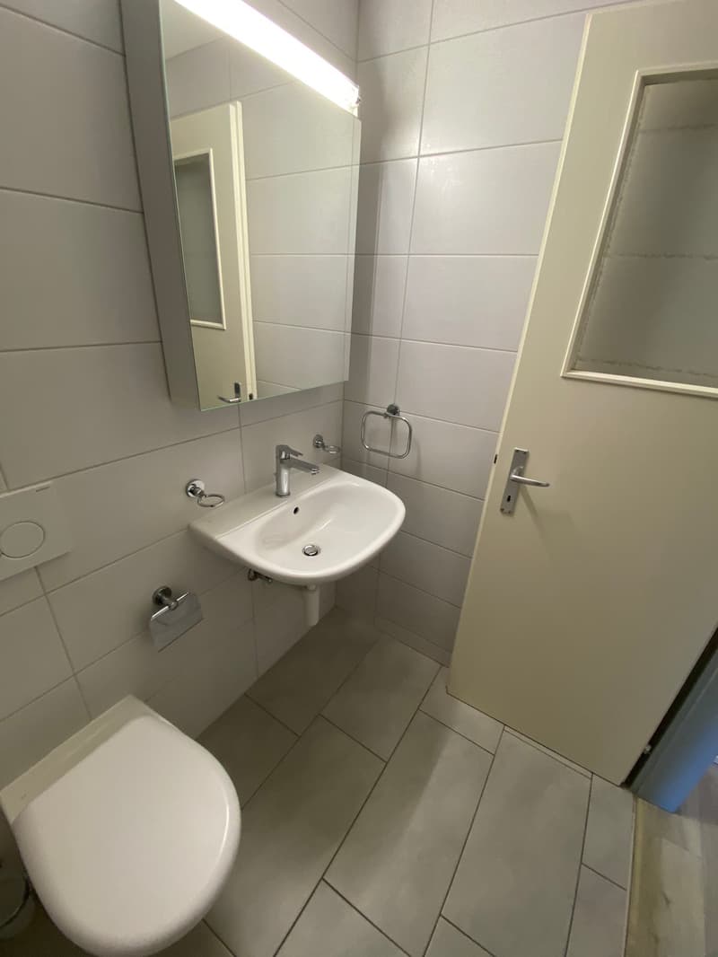 Bel appartement de 1,5 pièces au 3e étage (5)