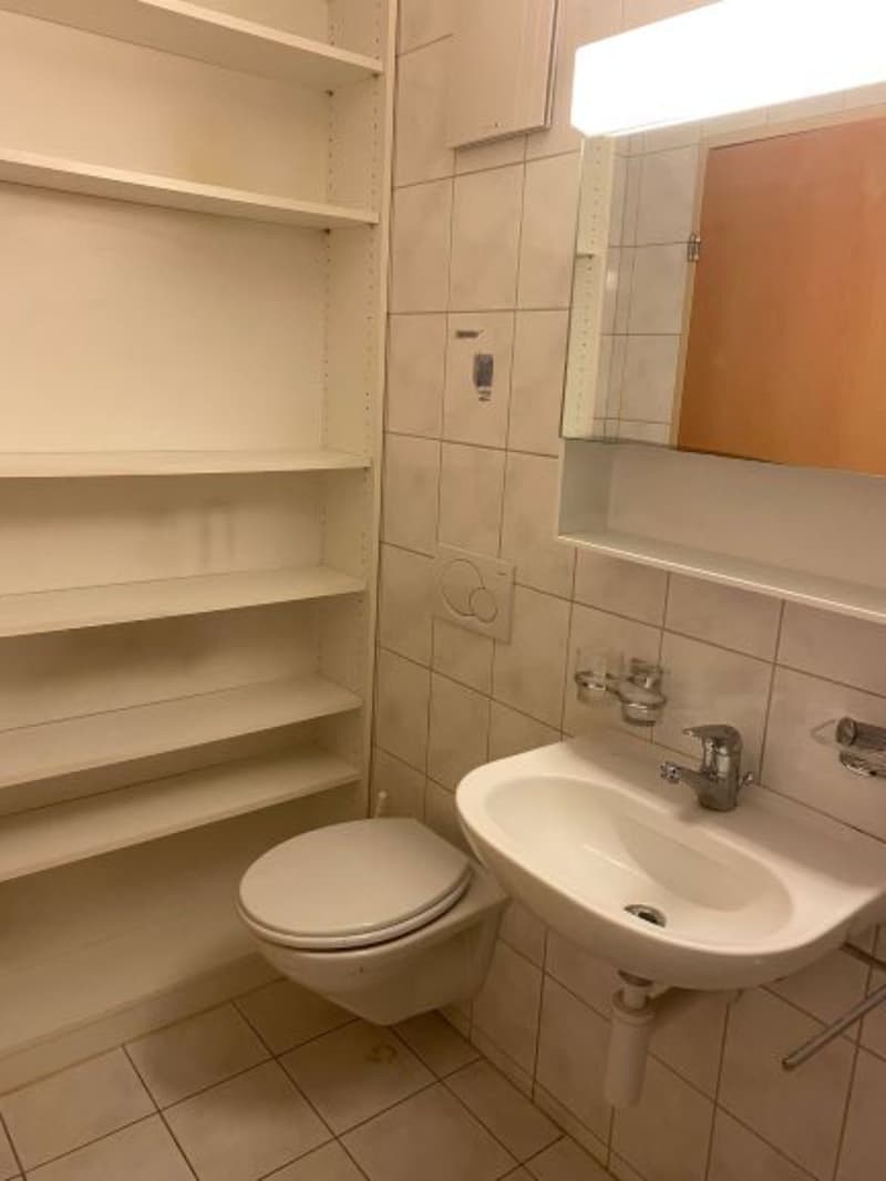 Bel et spacieux appartement de 4 pièces au 4e étage (9)