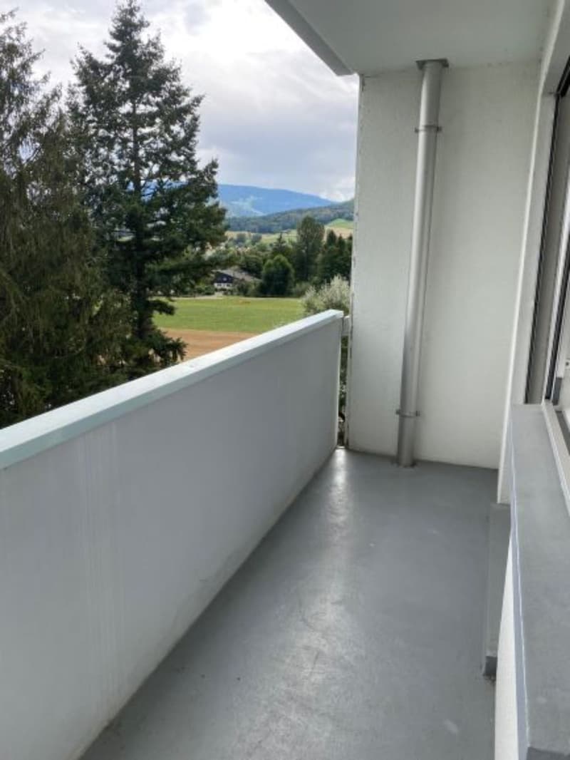 Bel et spacieux appartement de 4 pièces au 4e étage (10)