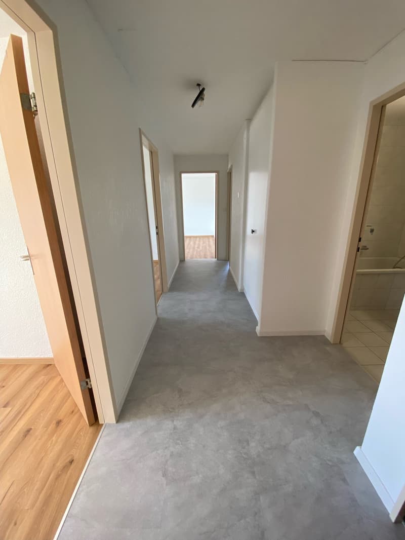 Bel et spacieux appartement de 4 pièces au 4e étage (5)