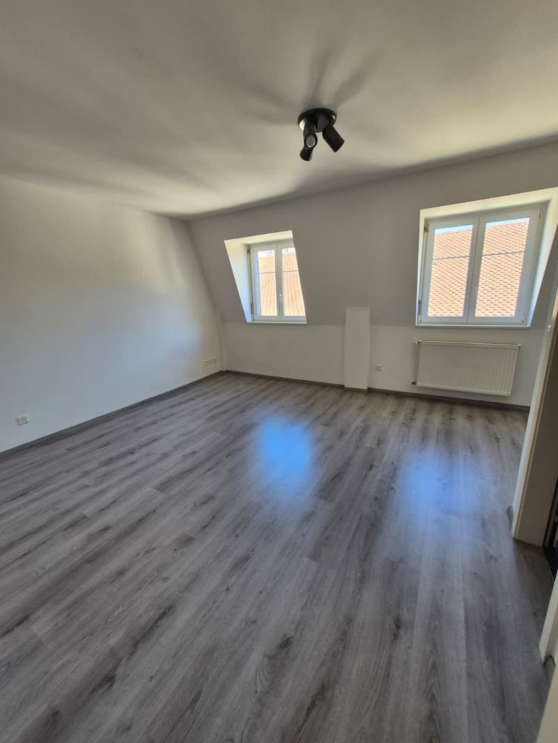 Charmant Studio de 1.5 Pièces au cœur de Delémont (4)