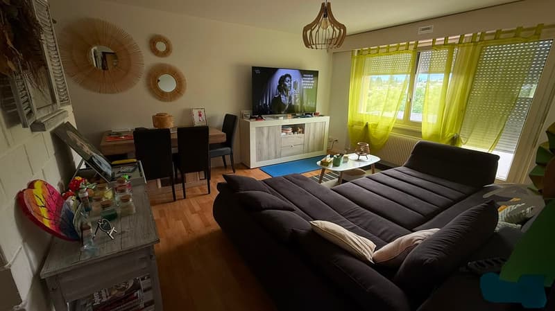 Bel appartement de 4 pièces au rez supérieur (3)