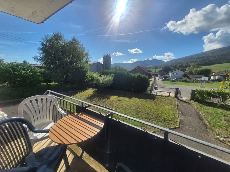 Très jolie maison jumelée de 5,5 pièces (3)