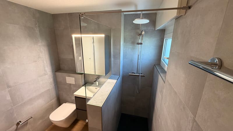 Magnifique appartement de 3,5 pièces au rez-de-chaussée (9)