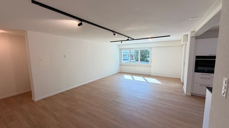 Magnifique appartement de 3,5 pièces au rez-de-chaussée (6)