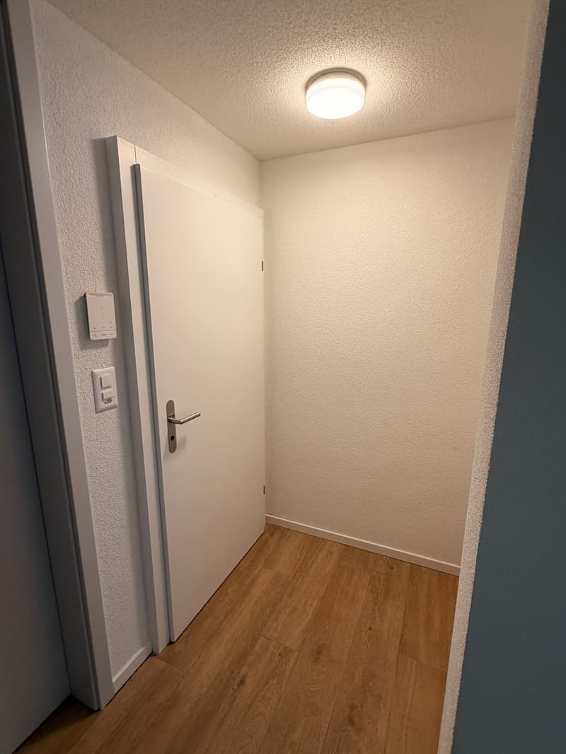 Magnifique appartement de 3,5 pièces au rez-de-chaussée (11)